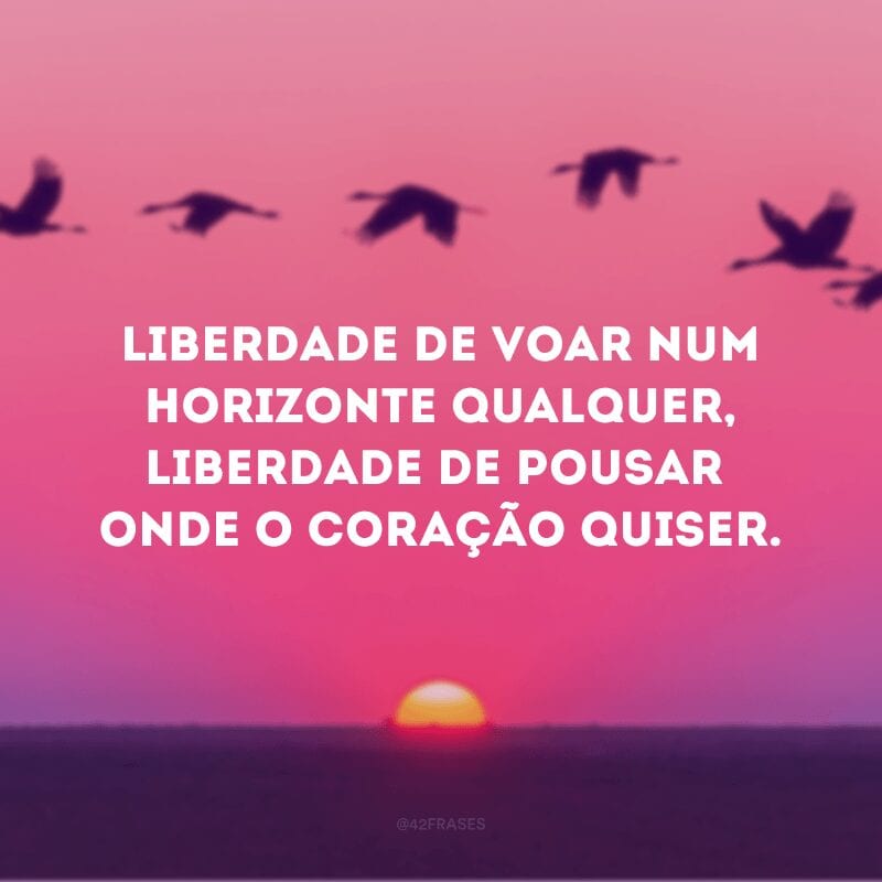 Liberdade de voar num horizonte qualquer, liberdade de pousar onde o coração quiser.