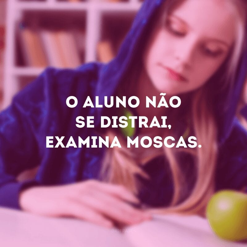 O aluno não se distrai, examina moscas.