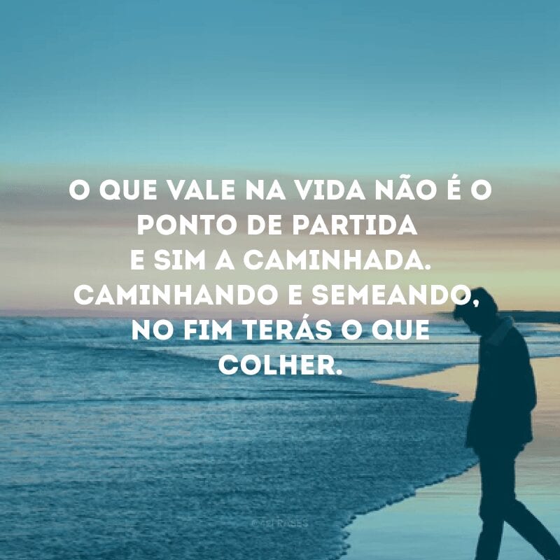 O que vale na vida não é o ponto de partida e sim a caminhada. Caminhando e semeando, no fim terás o que colher.