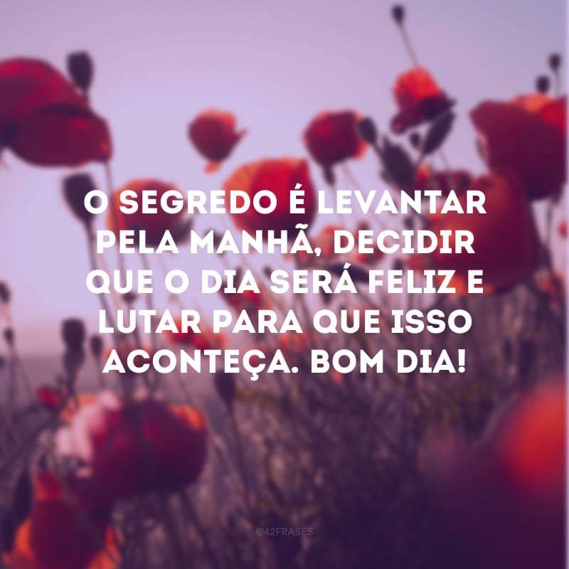 O segredo é levantar pela manhã, decidir que o dia será feliz e lutar para que isso aconteça. Bom dia!