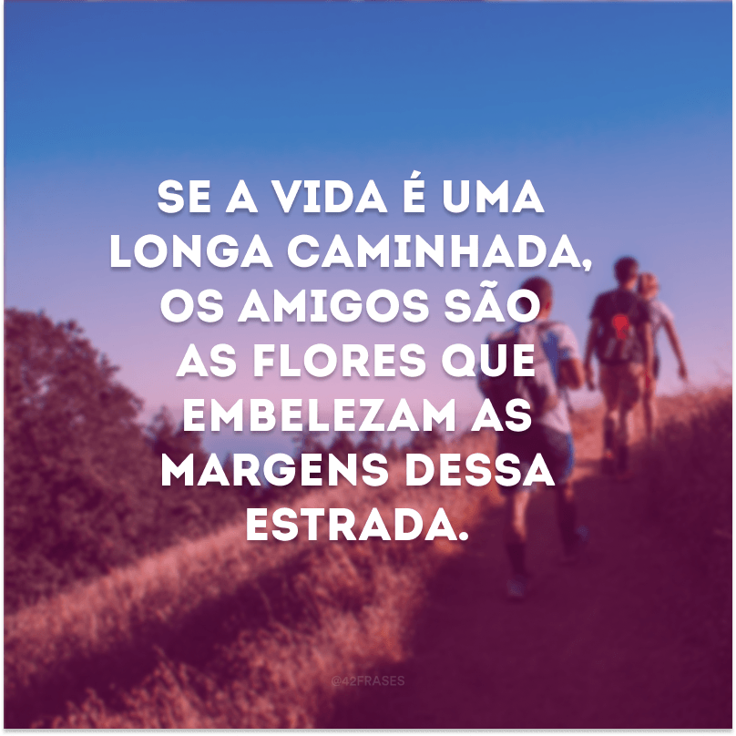 Se a vida é uma longa caminhada, os amigos são as flores que embelezam as margens dessa estrada. 