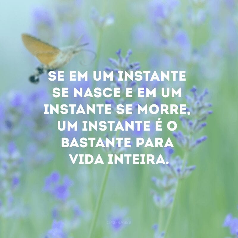 Se em um instante se nasce e um instante se morre, um instante é o bastante para vida inteira.