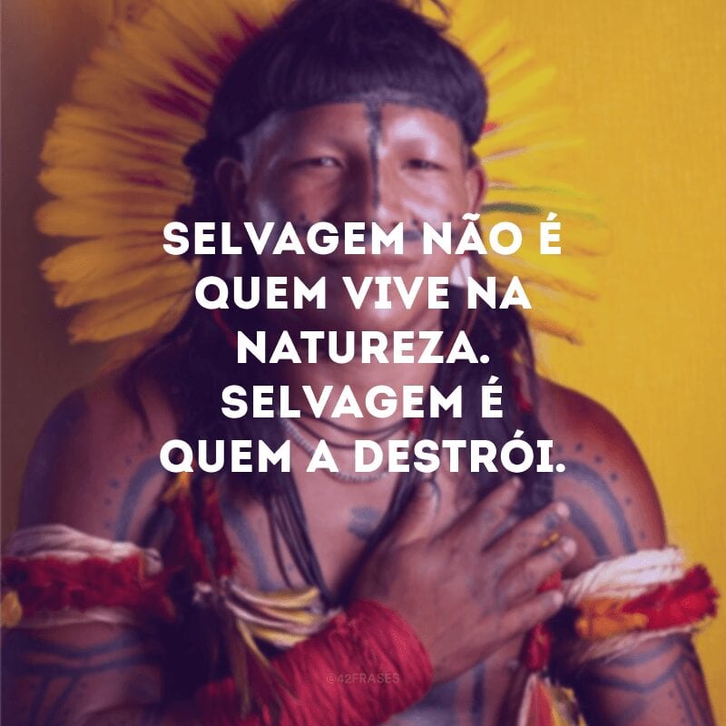 Selvagem não é quem vive na natureza. Selvagem é quem a destrói.