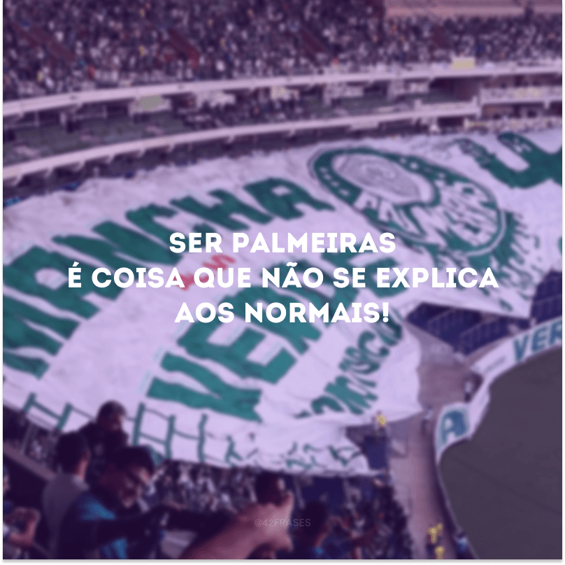 Ser Palmeiras é coisa que não se explica aos normais!