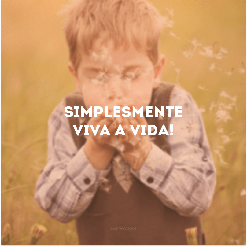 Simplesmente viva a vida!