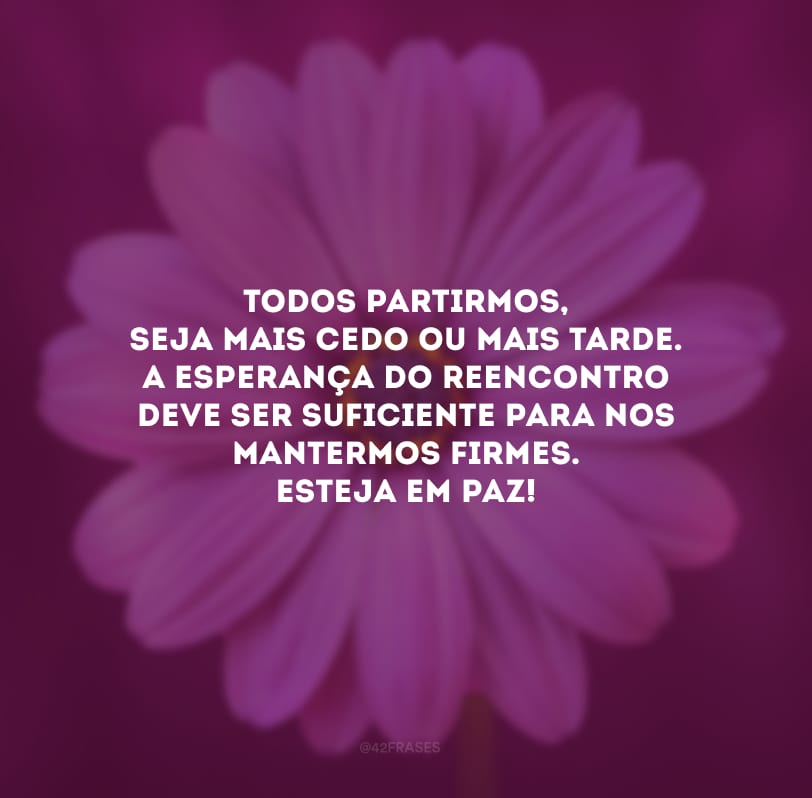 Todos partirmos, seja mais cedo ou mais tarde. A esperança do reencontro deve ser suficiente para nos mantermos firmes. Esteja em paz!