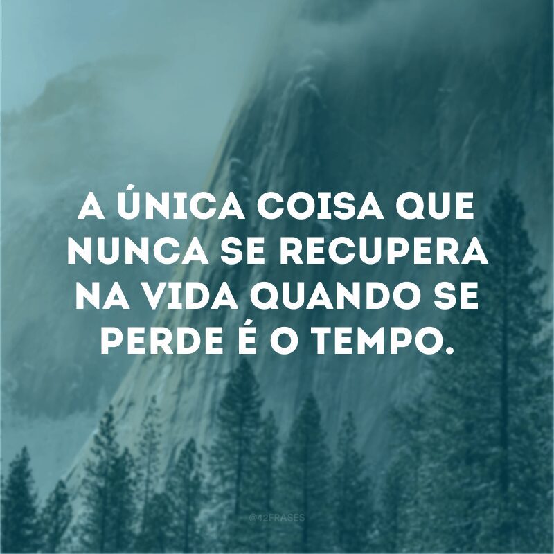 A única coisa que nunca se recupera na vida quando se perde é o tempo. 