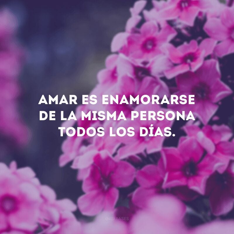 Amar es enamorarse de la misma persona todos los días.
(Amar é se apaixonar pela mesma pessoa todos os dias).