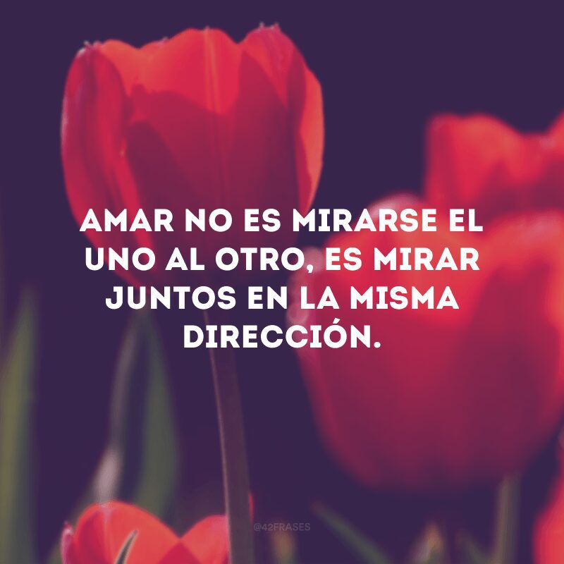 Amar no es mirarse el uno al otro, es mirar juntos en la misma dirección.
(Amar não é olhar um ao outro, é olhar juntos na mesma direção).