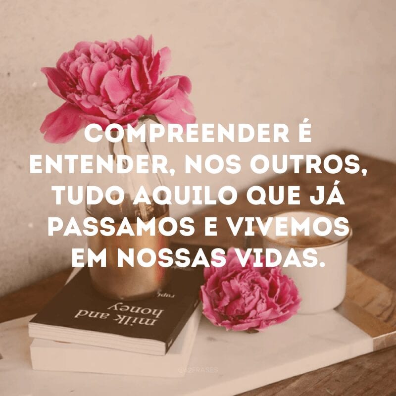 Compreender é entender, nos outros, tudo aquilo que já passamos e vivemos em nossas vidas.