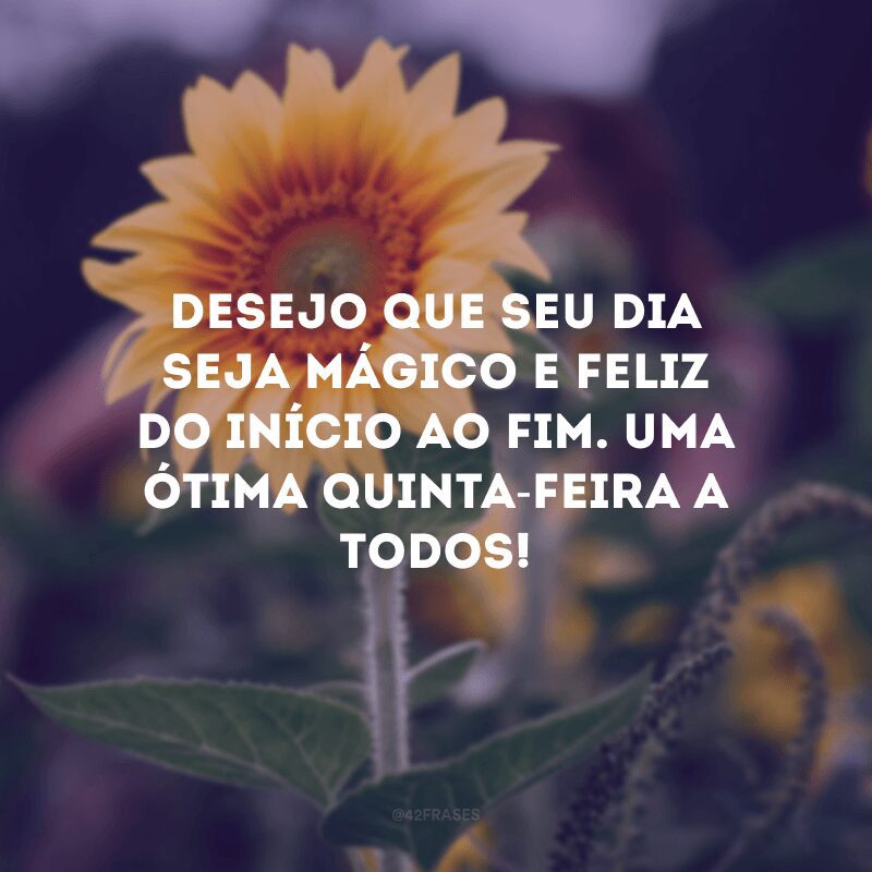 Desejo que seu dia seja mágico e feliz do início ao fim. Uma ótima quinta-feira a todos!