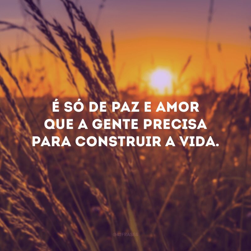 É só de paz e amor que a gente precisa para construir a vida. 