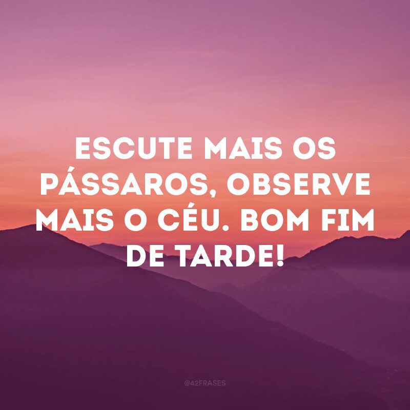 Escute mais os pássaros, observe mais o céu. Bom fim de tarde! 