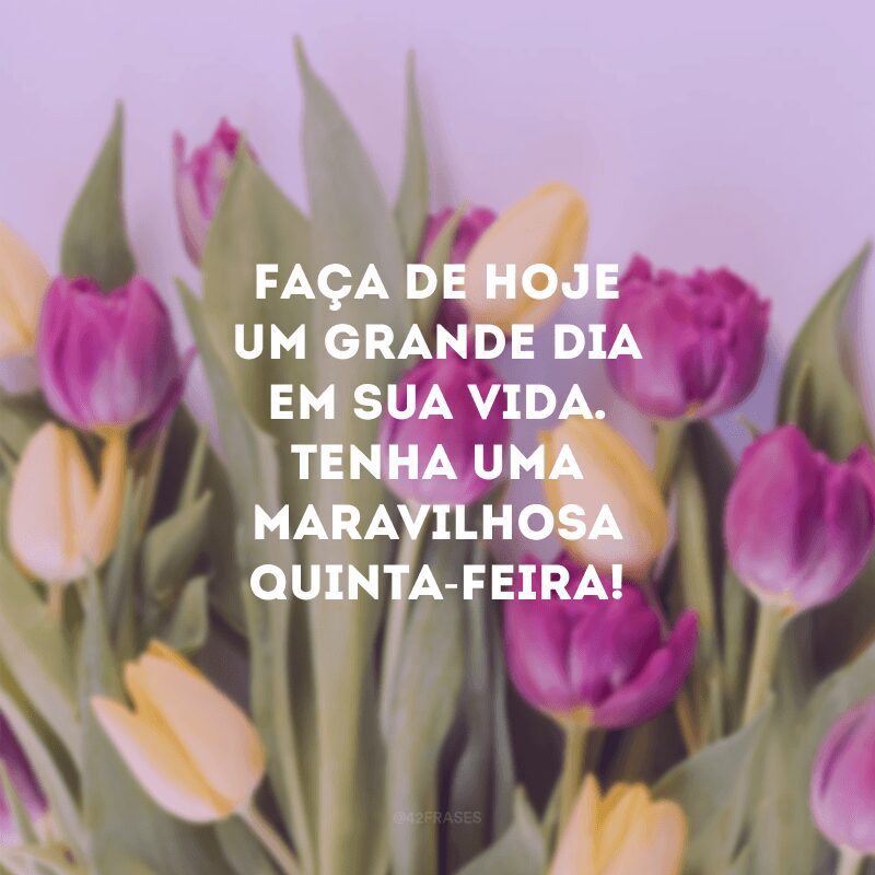 Faça de hoje um grande dia em sua vida. Tenha uma maravilhosa quinta-feira!