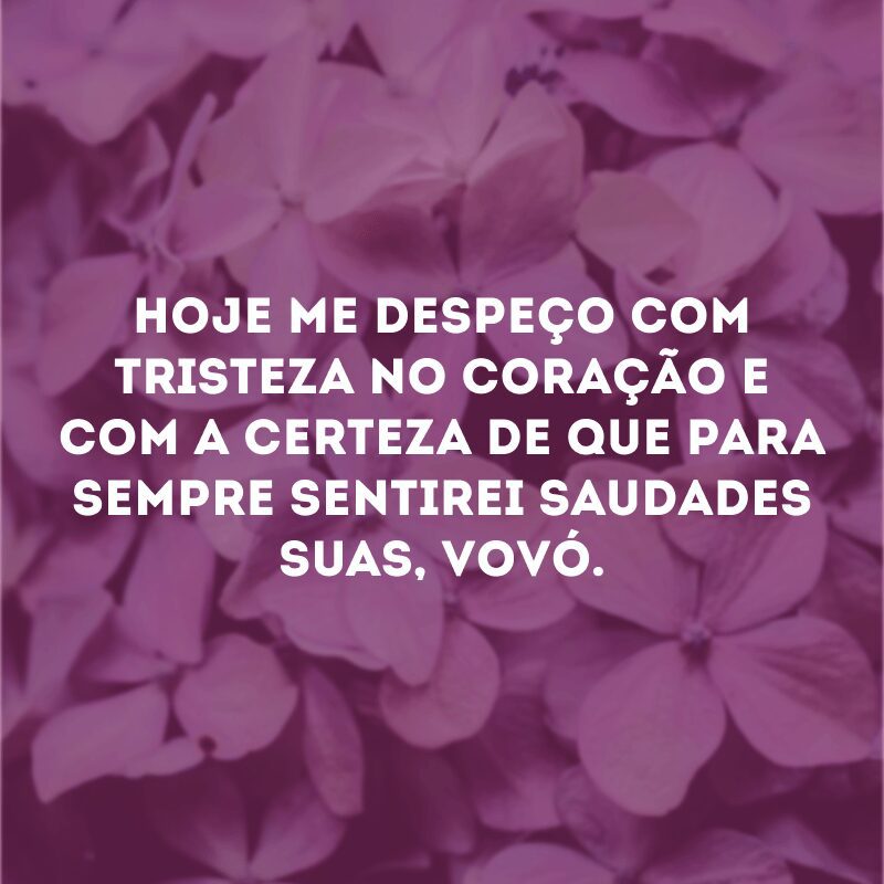 Hoje me despeço com tristeza no coração e com a certeza de que para sempre sentirei saudades suas, vovó.