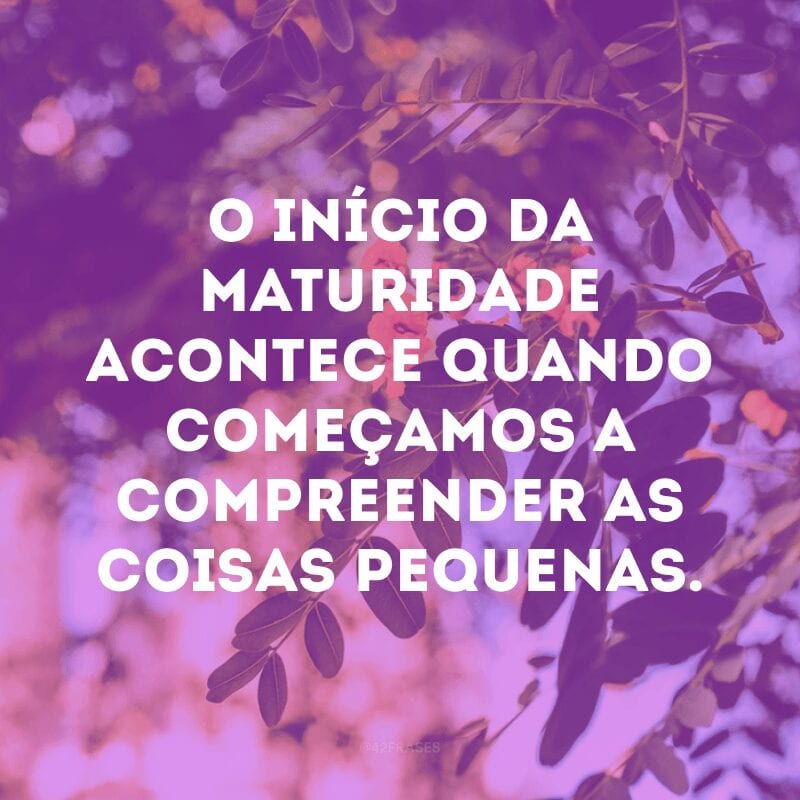 O início da maturidade acontece quando começamos a compreender as coisas pequenas.