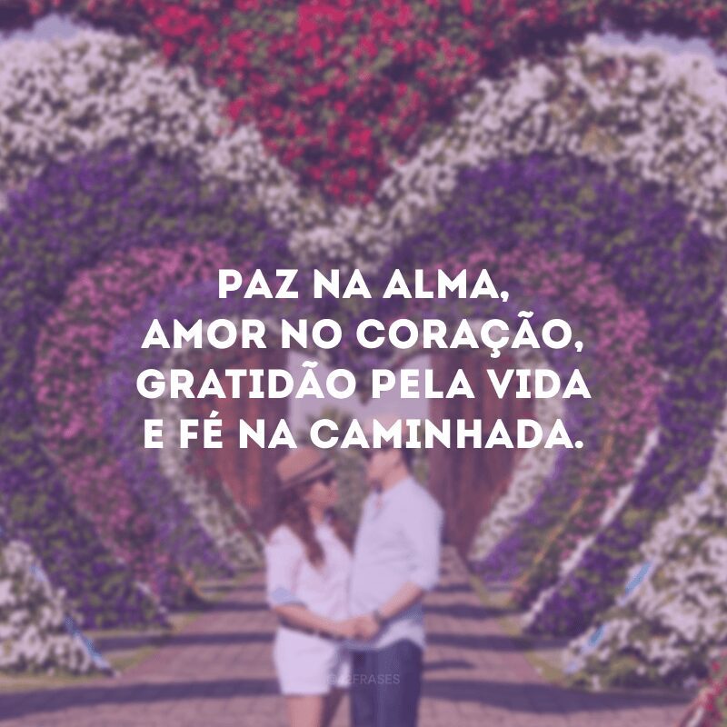 Paz na alma, amor no coração, gratidão pela vida e fé na caminhada.