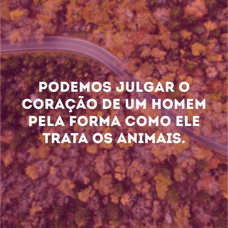 Podemos julgar o coração de um homem pela forma como ele trata os animais. 