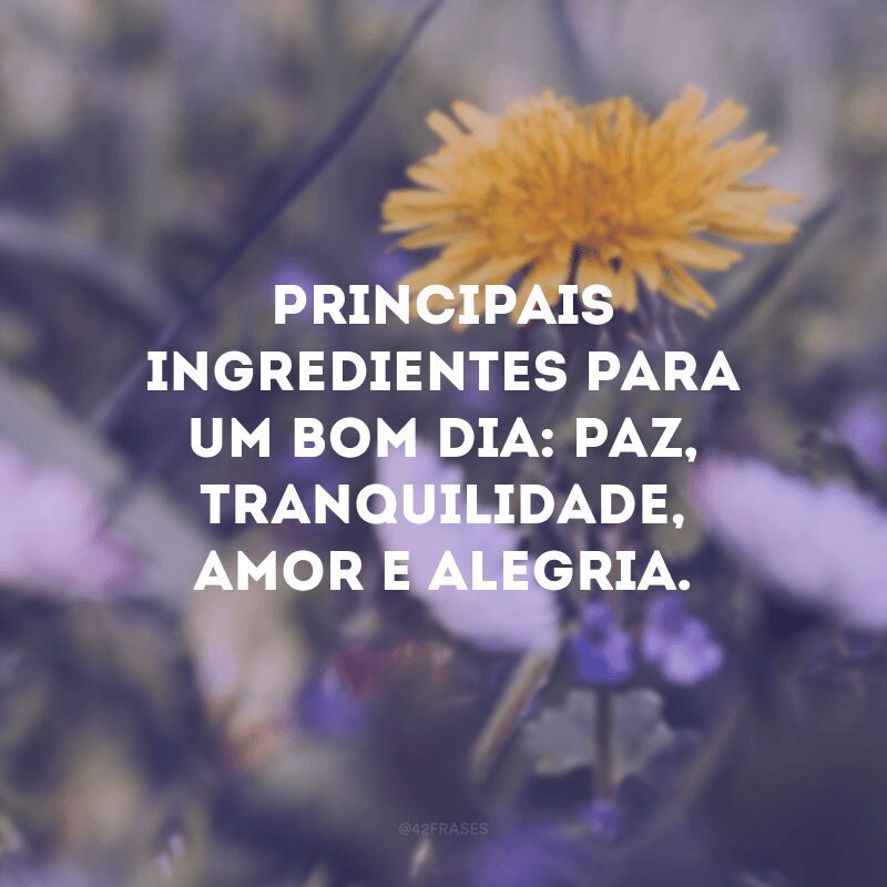 Principais ingredientes para um bom dia: paz, tranquilidade, amor e alegria.