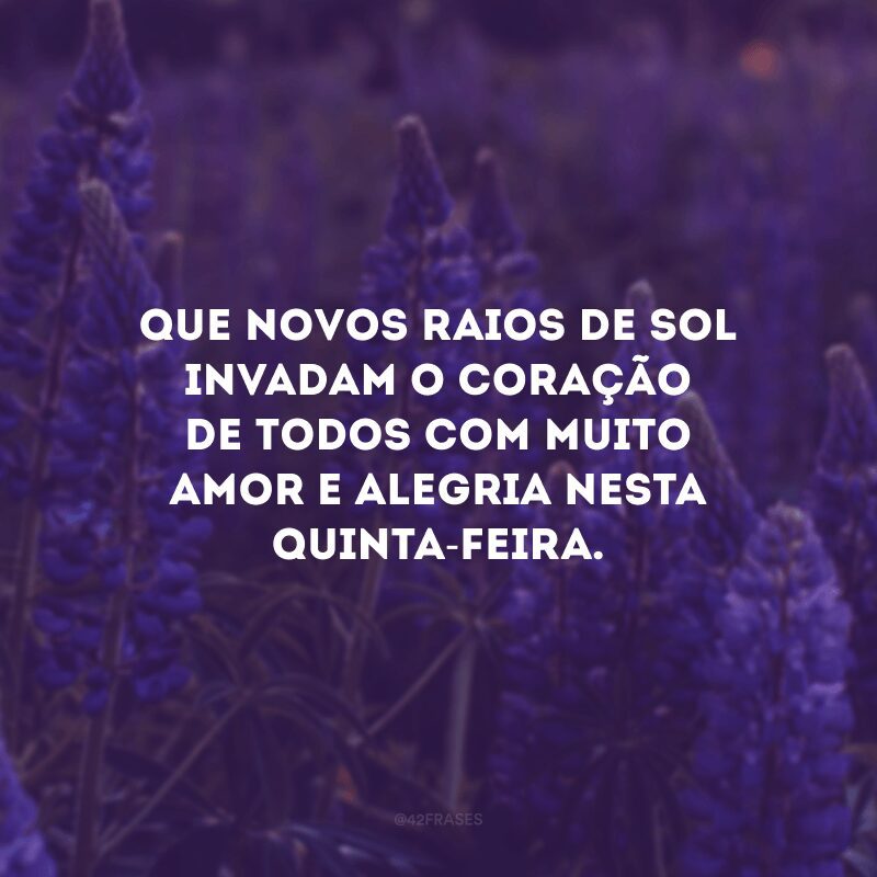 Que novos raios de sol invadam o coração de todos com muito amor e alegria nesta quinta-feira.