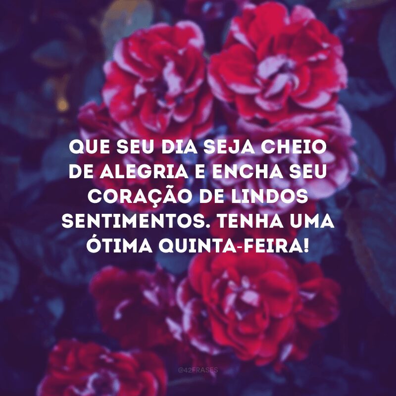 Que seu dia seja cheio de alegria e encha seu coração de lindos sentimentos. Tenha uma ótima quinta-feira!