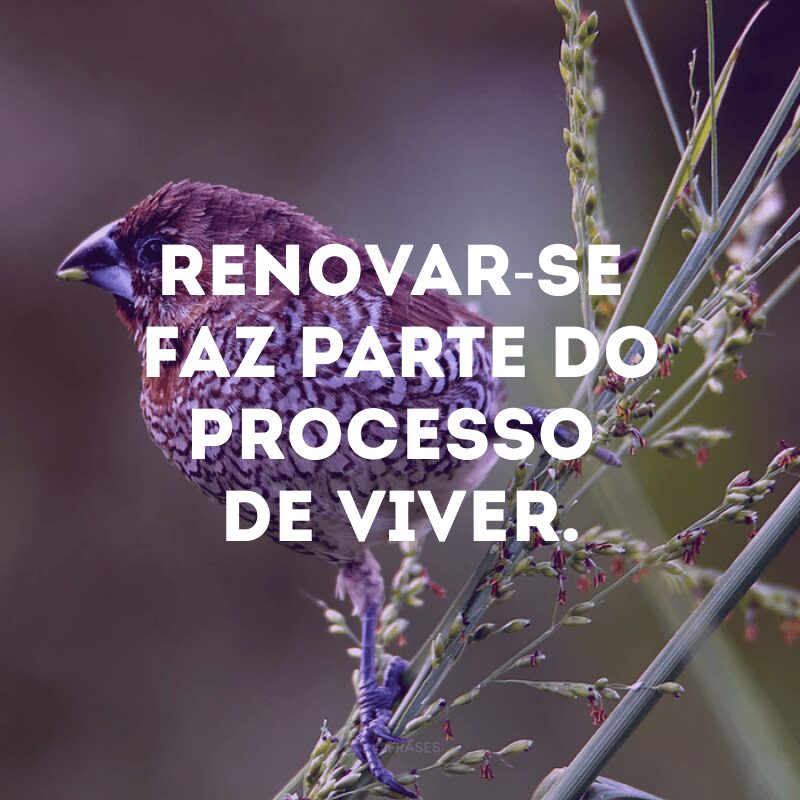 Renovar-se faz parte do processo de viver.