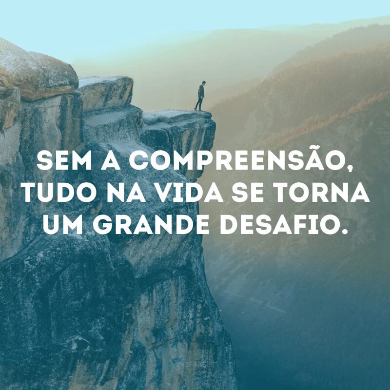 Sem a compreensão, tudo na vida se torna um grande desafio.