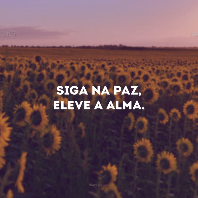 Siga na paz, eleve a alma. 