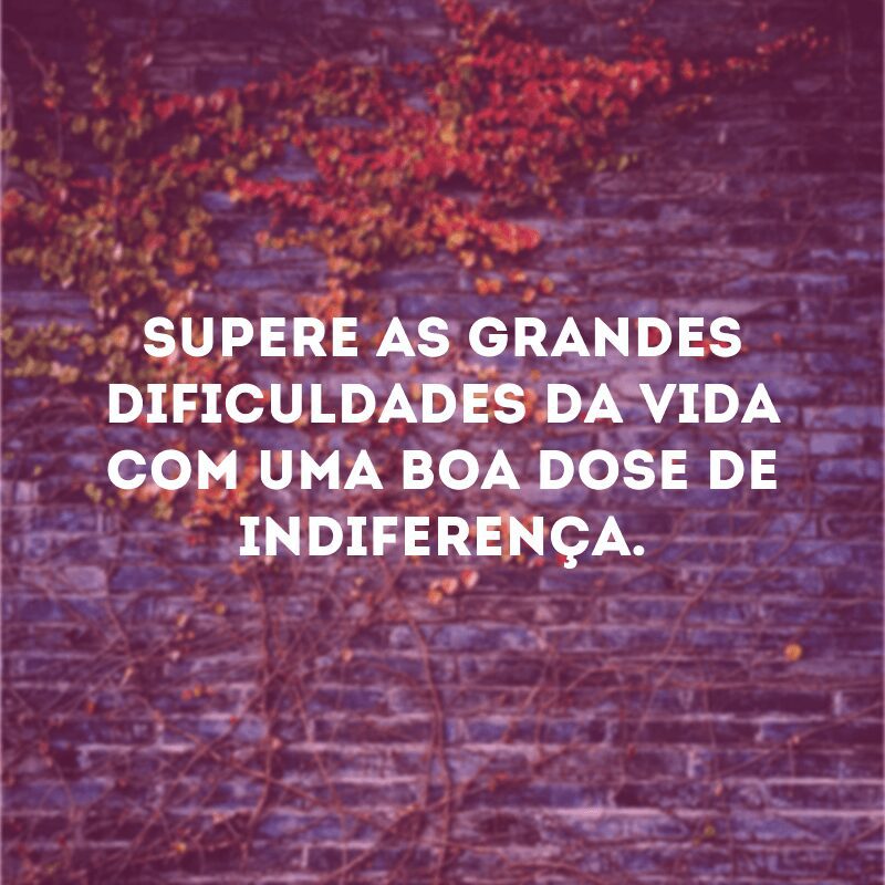 Supere as grandes dificuldades da vida com uma boa dose de indiferença.