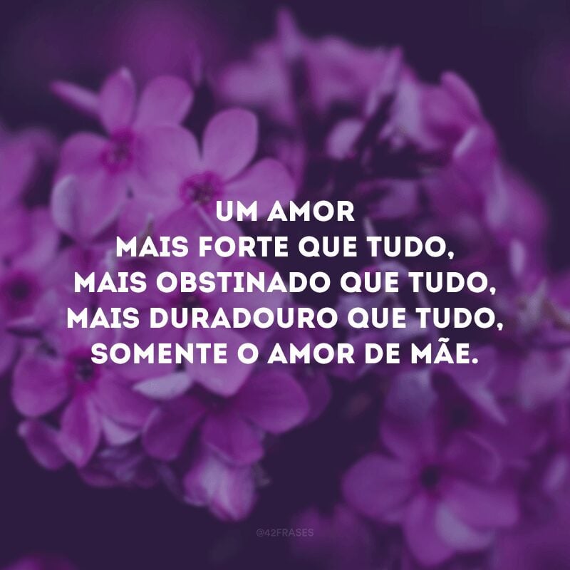 Um amor mais forte que tudo, mais obstinado que tudo, mais duradouro que tudo, somente o amor de mãe.