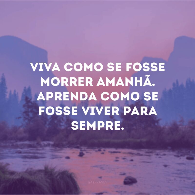 Viva como se fosse morrer amanhã. Aprenda como se fosse viver para sempre. 