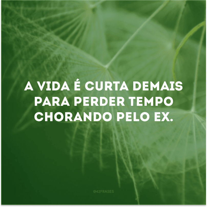 A vida é curta demais para perder tempo chorando pelo ex.