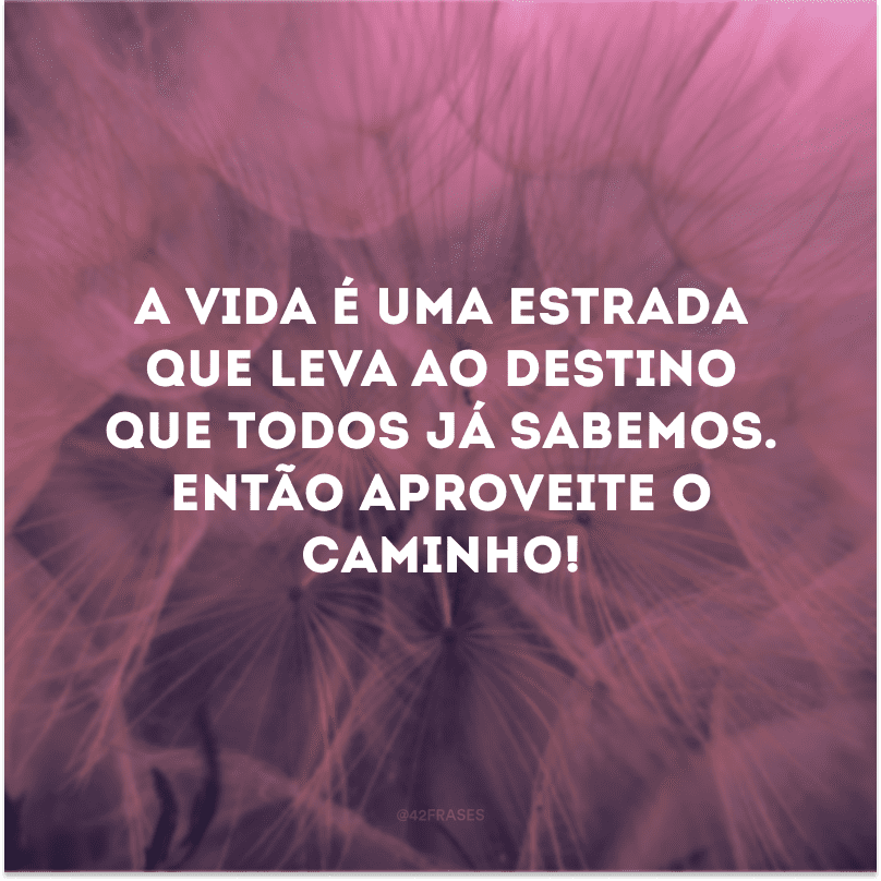 A vida é uma estrada que leva ao destino que todos já sabemos. Então aproveite o caminho! 