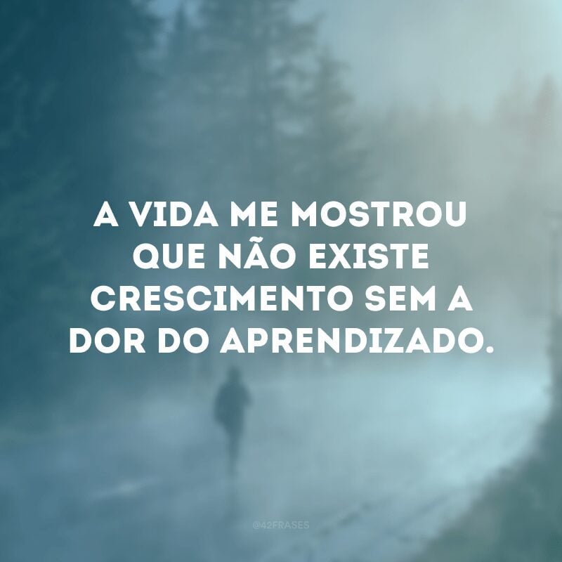 A vida me mostrou que não existe crescimento sem a dor do aprendizado. 