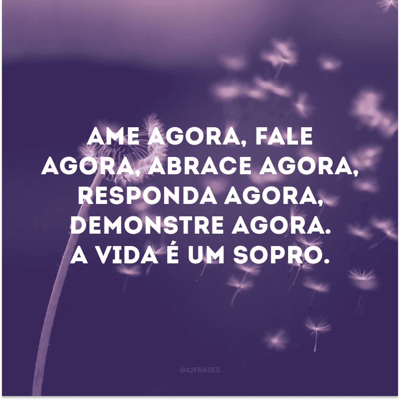 Ame agora, fale agora, abrace agora, responda agora, demonstre agora. A vida é um sopro.