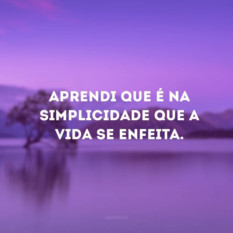 Aprendi que é na simplicidade que a vida se enfeita. 