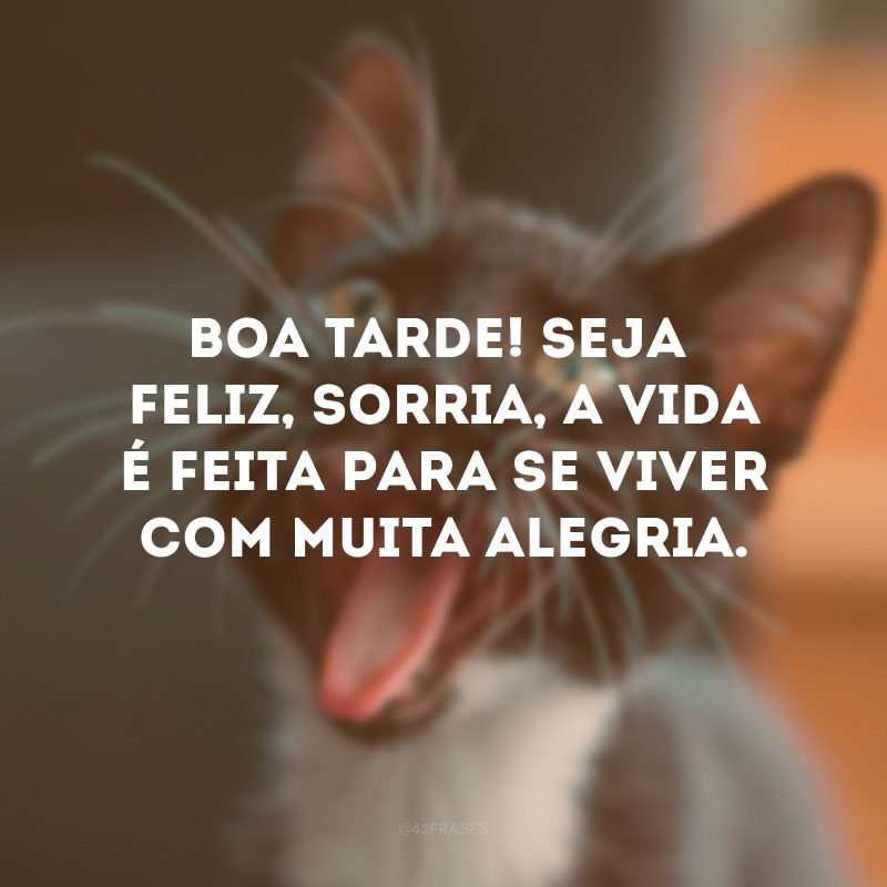 Boa tarde! Seja feliz, sorria, a vida é feita para se viver com muita alegria. 