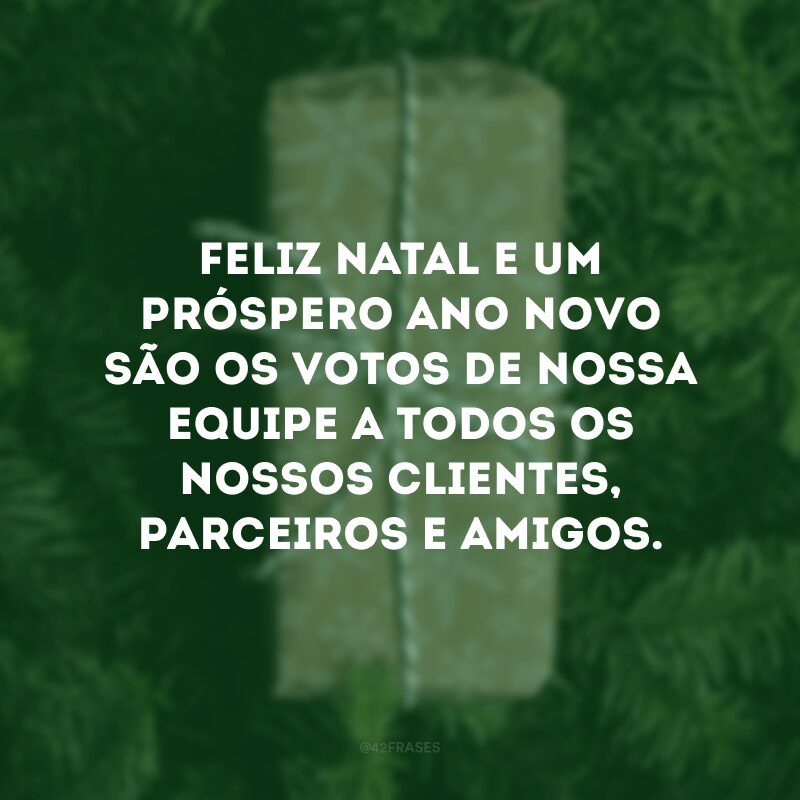 Feliz Natal e um próspero Ano Novo são os votos de nossa equipe a todos os nossos clientes, parceiros e amigos.