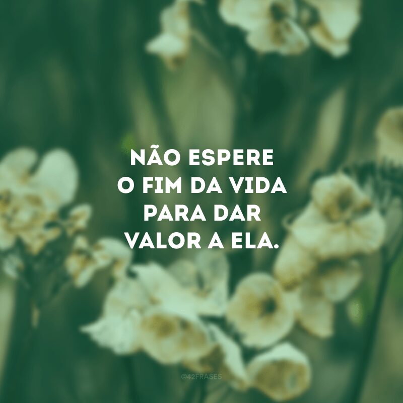 Não espere o fim da vida para dar valor a ela.