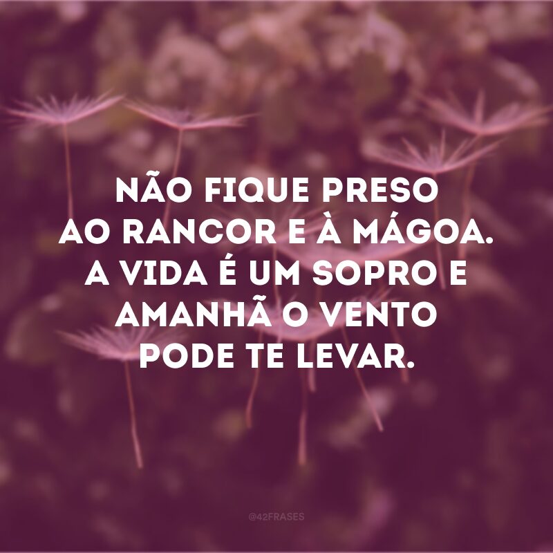 Não fique preso ao rancor e à mágoa. A vida é um sopro e amanhã o vento pode te levar. 