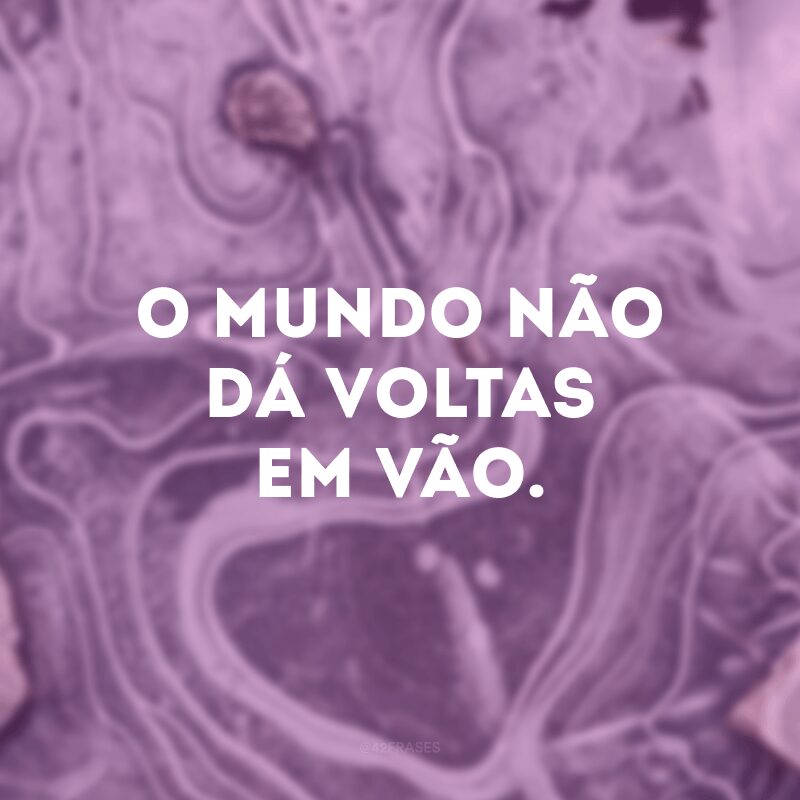 O mundo não dá voltas em vão. 