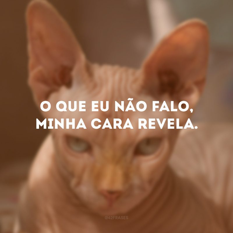 O que eu não falo, minha cara revela. 