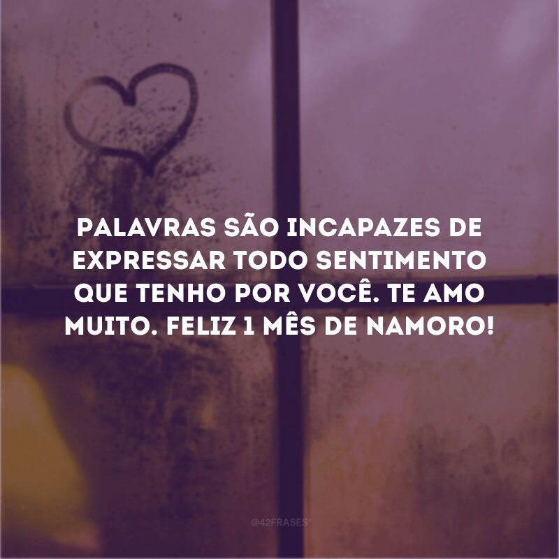 Palavras são incapazes de expressar todo sentimento que tenho por você. Te amo muito. Feliz 1 mês de namoro! 