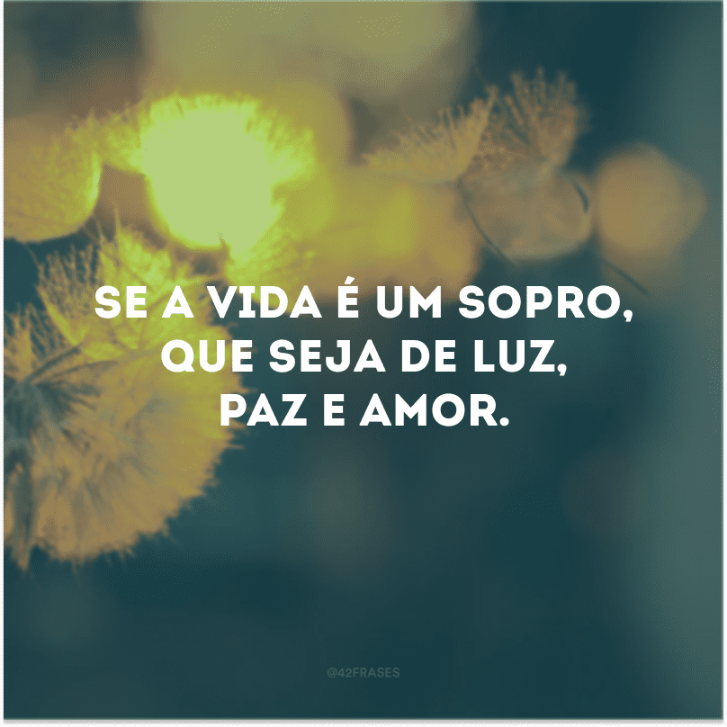 Se a vida é um sopro, que seja de luz, paz e amor. 