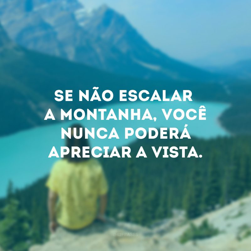 Se não escalar a montanha, você nunca poderá apreciar a vista.