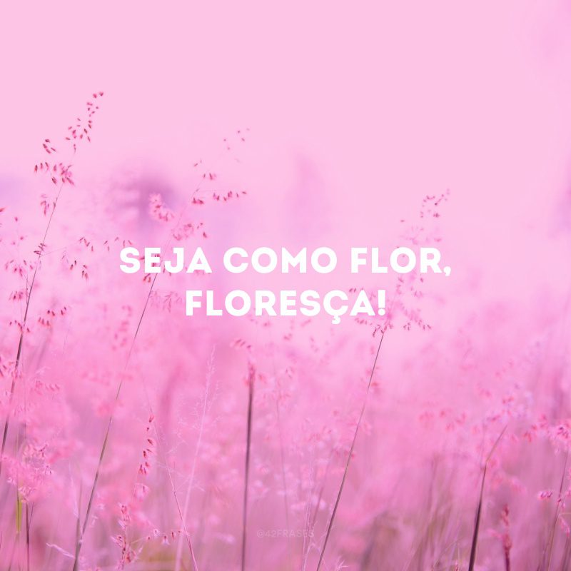 Seja como flor, floresça! 