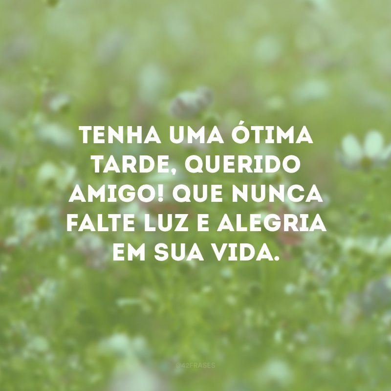 Tenha uma ótima tarde, querido amigo! Que nunca falte luz e alegria em sua vida.