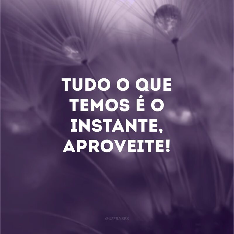 Tudo o que temos é o instante, aproveite!