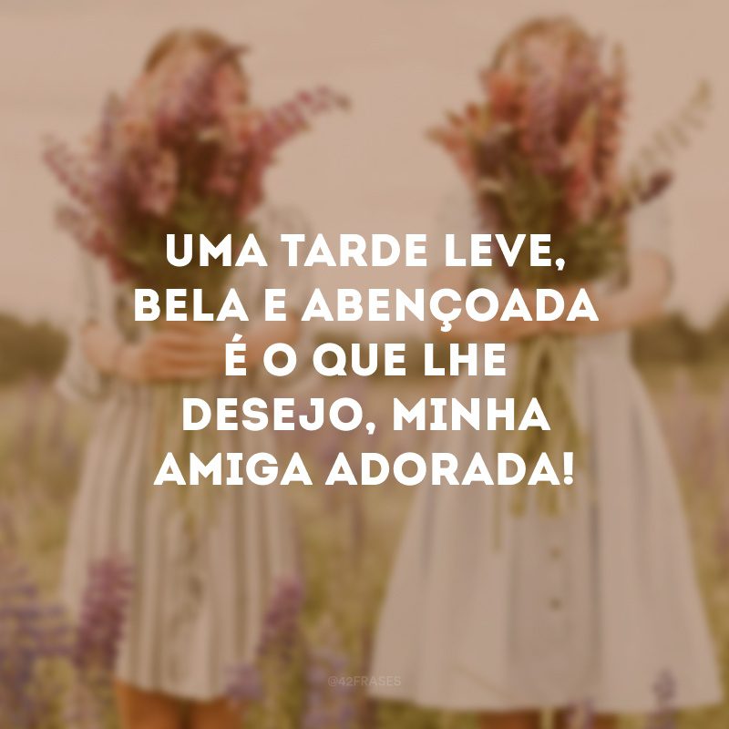 Uma tarde leve, bela e abençoada é o que lhe desejo, minha amiga adorada!