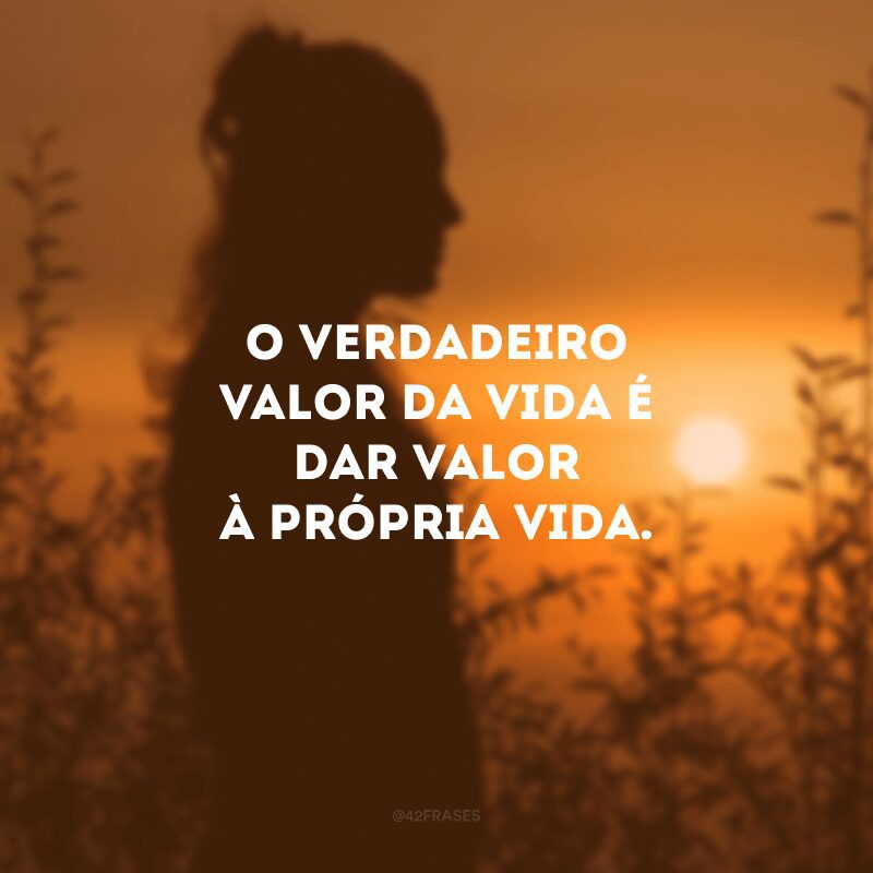 O verdadeiro valor da vida é dar valor à própria vida. 